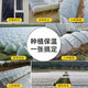 Runhuanian white transparent agricultural thickened small shed special film vegetable field insulation film winter 2.2 meters wide 4 wires thick agricultural film 5 meters long