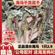 北京同仁堂足干正宗海马干货非中药材一对滋补泡酒配对煲汤公母非野肾阳高 5对装[9-11厘米]送6只特小海马