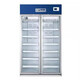 Jinghai Kühlschrank HYC-761GD Kühlschrank-Speicherbox 28 Doppel-Open-Tür-Drogenspeicherschrank große Kapazität HYC-650