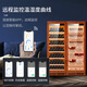 CIGARLOONG CL-120C1 Intelligent Ammonia Removal Constant Temperature and Humidity Cigar Cabinet Cedar Wood Liner WiFi Constant Temperature Red Wine Cabinet Large Capacity Double Door Dual System Cigar and Red Wine Cabinet Black Cedar Wood Liner Red Wine Style WiFi+Pure Ammonia+Constant Temperature and Humidity