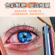 Prismacolor Pili American Pili Oil Color Pencil 150 Color a todo color Pintura de lápices de lápiz de color adulto Estudio Arte Estudiante Profesional Profesional Arte Color Pencil PC1098 Corea del Norte Amarillo