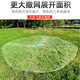 Mengda Fishing Net Hand Throwing Fishing Net Large Frisbee Disc Hand Throwing Fishing Easy Throwing Net Swinging, Catching and Fighting Automatic Fishing Net Anti-hanging Chain 2.7 Meters Type 540 One Finger