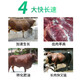Ying 1 Meier cattle and sheep feed additives for fattening, beef cattle fattening, growth promotion, fat treasure premix for fattening, fattening cattle feed 40Jin Jin is equal to 0.5kg