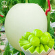 Dayu Jade Mushroom Melon Seeds White Skin Ice Cream Honey Sweet Melon Seeds Super Sweet Early Mature Xin Yugu F1 Melon Seeds 10 capsules