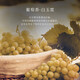 路易布兰登（LOUIS BRANDON）法国原酒进口洋酒40°烈酒XO白兰地调酒基酒整箱6瓶700mL*6