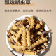 Cordyceps Sinensis Broken Trass Authentic Cordyceps Тибетская область Высокая высота разбитая трава Свежая сушена