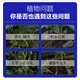 Plant Regeneration Agent Concentrated Nutrient Solution for Potted Flowers and Green Plants Universal Rotten Root Yellow Leaves Dead Tree Bare Stem Regeneration Liquid Fertilizer 3 boxes of 18 pieces (2 get 1 free)