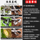 Hongzhijing selects Japanese bonsai ball joint shears, ball shears, pruning shears, gardening tools, oblique fork branch shears, branch shears, leaf buds and tree tumor shears, Chenggong medium stainless steel ball joint shears, card packaging
