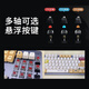 罗技K845有线机械键盘 青红茶轴电脑电竞游戏打字办公PBT客制键帽 罗技K845-【标配款】+罗技大桌垫 标配 x 否 x 104键 x 青轴-【打字办公选