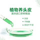 L'Oreal Tea Tree Plant Extract Anti-dandruff Cleaning Shampoo 500ml Refreshing Oil Control and Oil Removal Men's Women's Shampoo