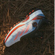 阿迪达斯 （adidas）高尔夫球鞋男士Adizero ZG BOA款舒适防滑防泼水 无钉鞋 2025新款 IH9896 白/亮红/黑色 40