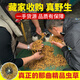 东仔【西藏那曲】野生冬虫夏草高海拔野生虫草断草滋补品礼盒送长辈 【西藏那曲野生】大号断草-全家滋补 20克（礼盒装）