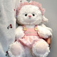 Princess Weiweigongzhu (weiweigongzhu) lamb doll birthday gift for girls girlfriend Children's Day gift for girls plush toys rag doll Lamb doll [no birthday hat] 22cm [send card + gift bag