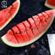 Dayu 8424 watermelon seeds are suitable for southern rock sugar unicorn melon seeds, early-maturing and thin-skinned rock sugar unicorn melon watermelon seeds, 30 capsules x 2 bags