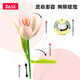 Le High Plant Log Serie Tulip Bausteine ​​Blumenbaugruppe Spielzeug simulierte Blumenschmuck Mädchen Geschenk JK2679 Sunny Holiday [exquisite Farbbox]