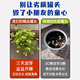 蚁恩罐头植物盲盒幼儿园室内种植小盆栽蔬菜花卉种子绿植61儿童节礼物 【寓意种植小盆栽盲盒、3罐装】 【老师推荐/简单易活/四季可种】