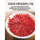 北京同仁堂【藏红花级】西藏官方中材泡水喝的功伊朗臧红花头茶 (精选长丝)藏红花1g[罐]