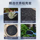 稻壳炭钾肥花用纯草木灰肥料杀虫谷壳碳发酵腐熟砻糠钾肥花用多肉 小颗粒稻壳炭20斤
