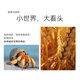 华为（HUAWEI）Pura 70 北斗卫星消息版 第二代昆仑玻璃 华为鸿蒙智能手机YX55 pura70北斗卫星版-羽纱黑 12GB+512GB 官方标配