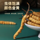 聚和泰冬虫夏草高端礼盒30根/10g国庆中秋节日送父母长辈健康滋补营养品