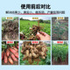Underground rhizome expansion hormone, sweet potato, Chinese medicinal materials, yams, potatoes, peanuts, garlic, special tubers to increase production, fertilization, root and tuber expansion hormone, 12 bags*12kg