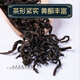 北京同仁堂原料青钱柳茶中药材桑叶茶牛蒡玉米须特级降野生茶叶金钱柳血糖 [2罐]青钱柳250g+牛蒡250g
