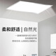 Whale and Light integrated ceiling light led flat panel light office ultra-thin high color rendering aluminum gusset panel light 600*600 48W economical model
