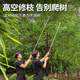 Delixi high-altitude pruning shears, telescopic pole, stainless steel, special scissors for pruning high-branch fruit trees and pruning branches. Delixi's award-winning brand brand tools. After-sales service.