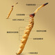 Lei Yunshang [Naru, Tibet] Cordyceps gift box Cordyceps dry goods supplements tonics for elders tonics for leaders 4 sticks/g 10g About 40 sticks Grade A Cordyceps