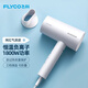 FLYCO high-speed hair dryer household negative ion constant temperature hair care high wind speed drying bass portable dormitory student hair dryer negative ion hair care FH6276 1800W high power