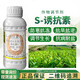 Guoguang Dynamics S-attractin citrus fruit tree disease resistance, drought and cold resistance, salt tolerance, root promotion and seedling growth regulator 200ml
