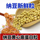纳豆专用黄豆690小金黄东北黑龙江小粒黄豆发芽专用 纳豆专用小金黄-黄豆2斤