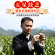 传奇会乌龙茶 安溪铁观音 清香型特级500g轻火茶叶礼盒装新茶自己喝送礼