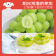 Jingxiansheng Sunshine Rose Grape Green Grape 4-4.5Jin Jin is equal to 0.5kg gift box, single fruit about 10g, fresh fruit, fresh gift box