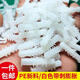 Meikejie white plastic expansion tube expansion tube expansion tube 6X30 spiked rubber plug rubber particle wall plug bolt expansion tube 8*40 6*30 100 pieces