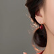 Yan Ru Dekoration 925 Silber Zimt Ohrringe Leichte Luxus -Zodiakjahr Frauenohrhaken 2025 Neue rote Ohrringe Geburtstagsgeschenk für Freundin E3890 Zimtohrringe 8mm 8mm