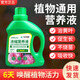Plant nutrient solution, universal money tree dead leaves, yellow leaves and rotten roots, household flower fertilizer, special concentrated fertilizer for potted flowers, 1 bottle 500ml