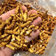 正宗藏曲冬虫夏草虫草断草10克送1克自用家庭装超级断草干货自食 藏区纯肉节大断草20克送2克