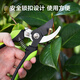 Deli garden scissors, fruit branch shears, garden pruners, branch pliers, household pruning scissors, fruit branch scissors lock design