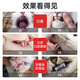 Cat cup stomatitis medicine, cat virus, oral anti-inflammatory spray, swollen lips, drooling, gingivitis, mouth ulcers, pet stomatitis, bad breath, redness and swelling, non-oral liquid spray, metronidazole tablets 12 tablets/box, national standard GMP certification