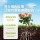 Stanley plant growth promoter nutrient solution universal flower fertilizer flower fertilizer regeneration concentrated flower and green plant special 108ml