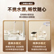 Qinyuan (Truliva) Instant-Wasserspender schnellheizender Wasserspender Home Desktop Wasserspender Mini Tragbarer Teebraumaschinenmaschine H-zy5012