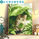 Clcey Digital Painting Painting Diy Симпатичный котенок, заполненный