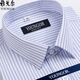 Bürgermeister Yageo Kurzarm Shirt Herren Pure Cotton Free Iron Business Casual Striped Shirt Kleidung mittleren Alters Sommer-Baumwollhemd DX6623 38