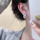 Exquisite imitation zircon flower earrings 2025 new high-end light luxury temperament earrings earrings women's niche design flower earrings 925 silver needle pair jewelry box