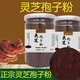 Matières premières de Pékin Tongrentang Ganoderma Lucidum Spore Powder Head Dou Break Wall Ganoderma Lucidum Powner Authentic Spore Huile 500G 100G GANODERMA LUCIDE LUCID