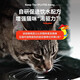 Yingrun Urinary Care Adult Cat Food Yingrun Cat Food Adult Cat Duck Meat Hydrating Grain-Free Bodybuilding Cystitis General Grain-Free Chicken Kitten Food (42% Protein, High-Energy Nutrition 2.5kg