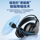 Wise Nation 700W Teachers and Students Choice Headphones Headphones for English e-Listening and Listening Tests for Middle and High Special Listening and Speaking Earphones Recording Oral Learning with Microphone USB Interface Student School