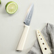 Shibazi writer's fruit knife paring knife stainless steel outdoor portable knife peeler cream fruit knife with sheath