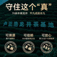 卢正浩龙井明前 2025新茶上市绿茶茶叶钱塘产区老茶树种 上瘾老树 纸包150g